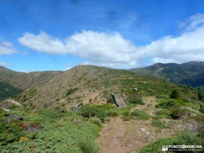 Hayedo Montejo-Cuerda Pinilla; viajes mayo fotos senderismo grupos de trekking